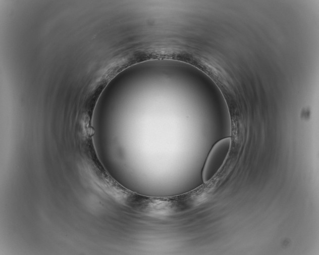 X0000091300718200708101308