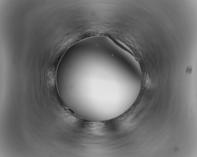 X0000091300719200708101308
