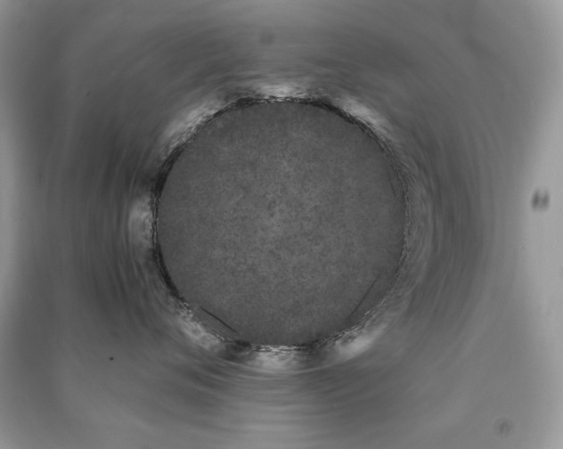 X0000091300720200708101308