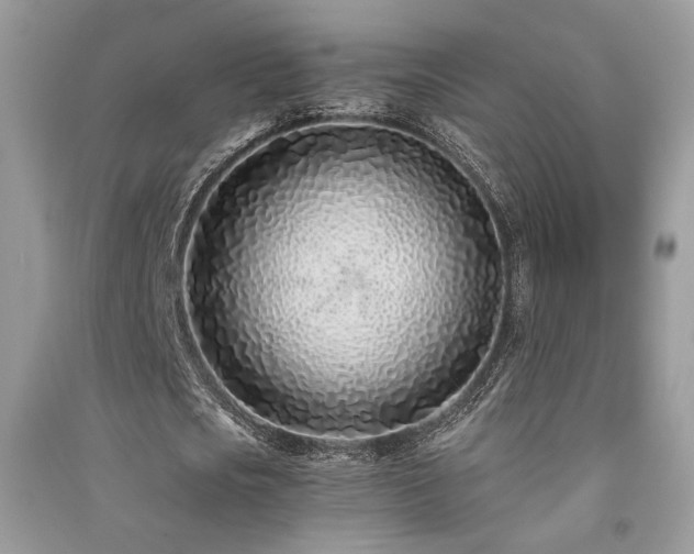 X0000091300721200708101307