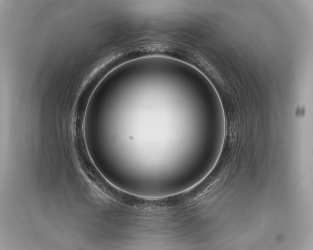 X0000091300722200708101307