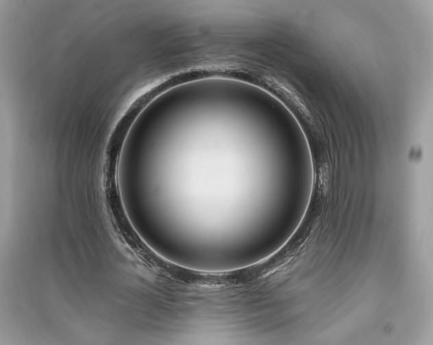 X0000091300724200708101307