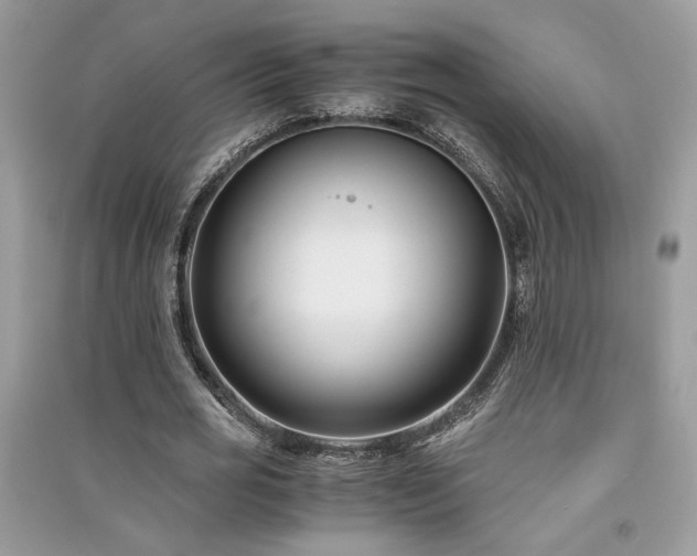 X0000091300725200708101307