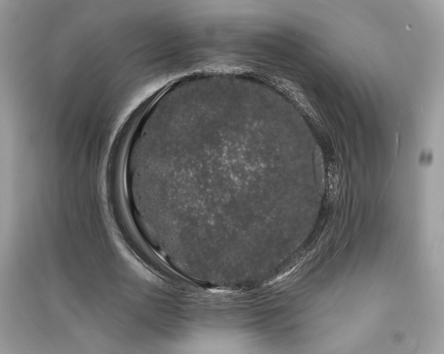 X0000091300726200708101307