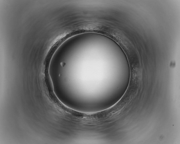 X0000091300727200708101307