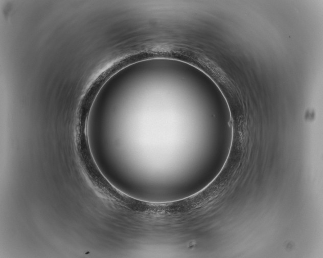 X0000091300728200708101307