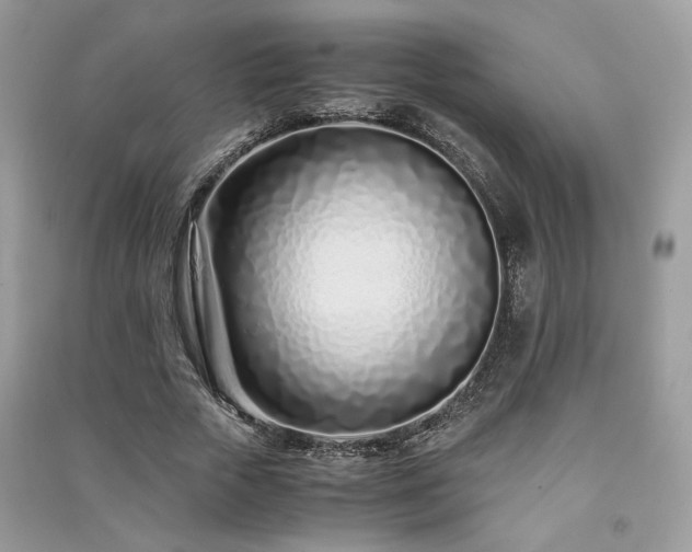 X0000091300729200708101307