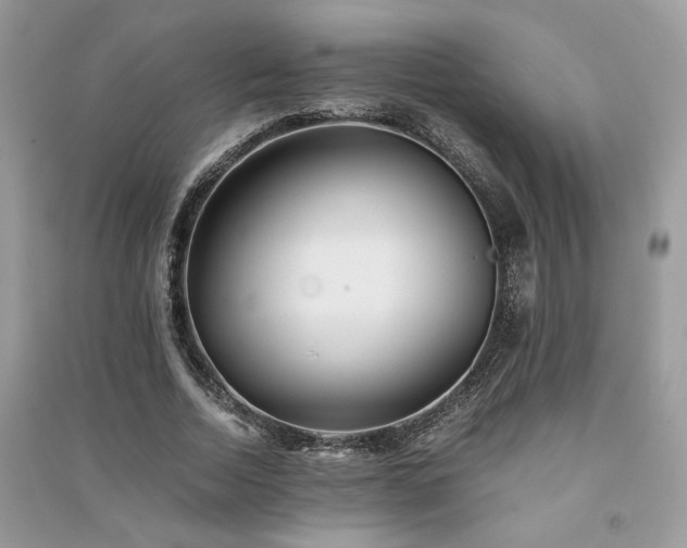 X0000091300730200708101307