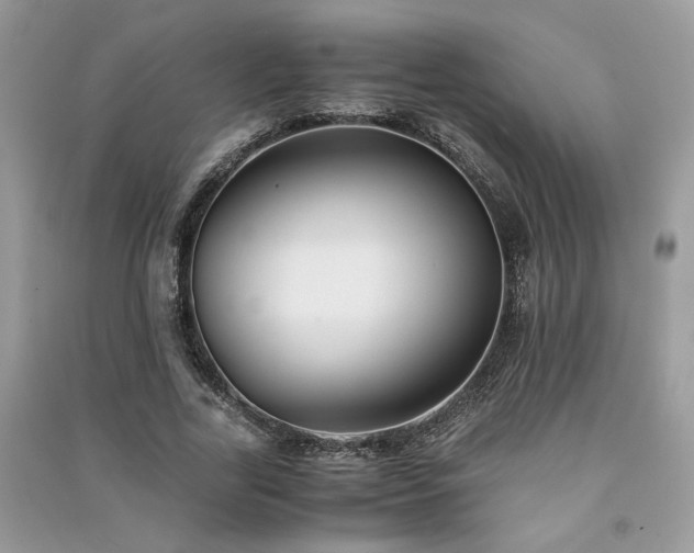 X0000091300731200708101307