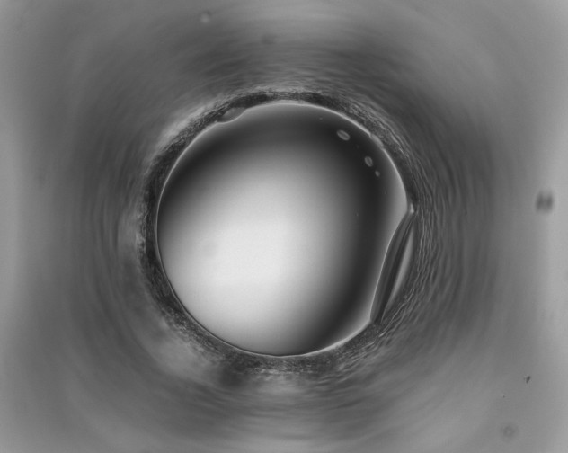 X0000091300732200708101307