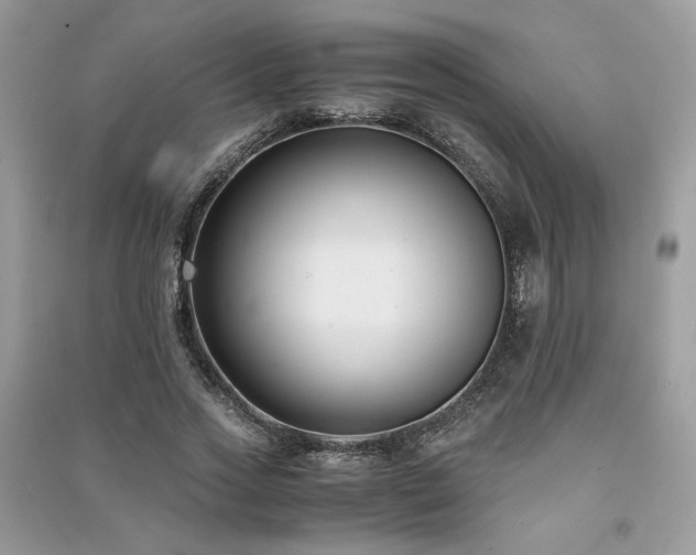 X0000091300733200708101307