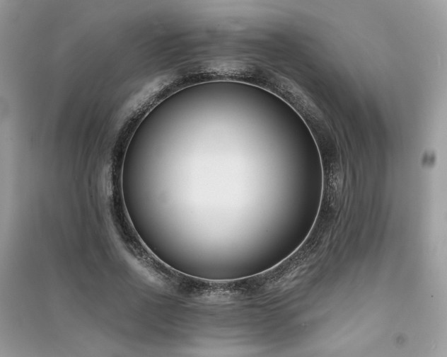 X0000091300734200708101307
