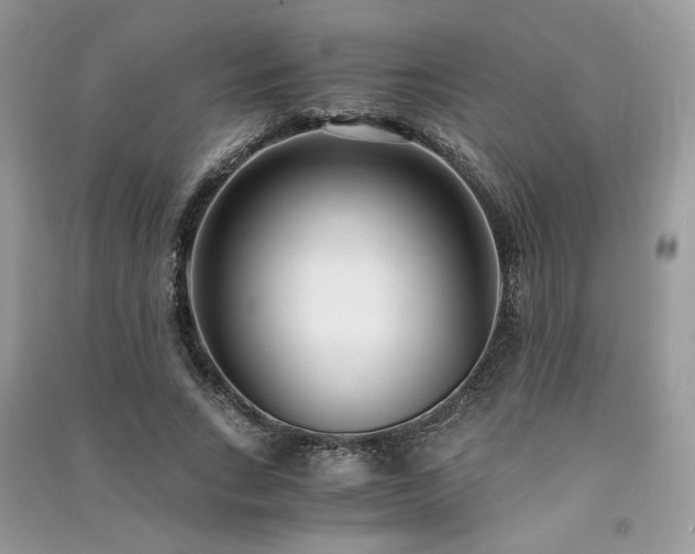 X0000091300735200708101307