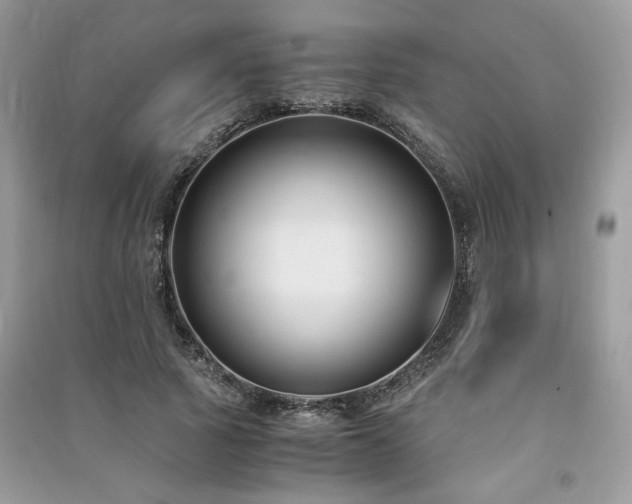 X0000091300737200708101307