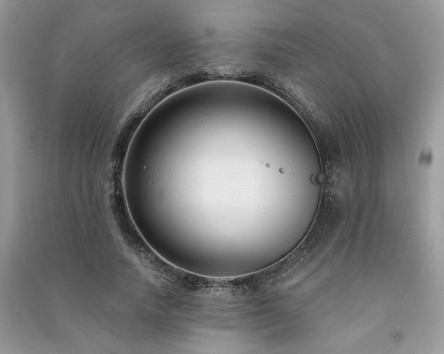 X0000091300738200708101307