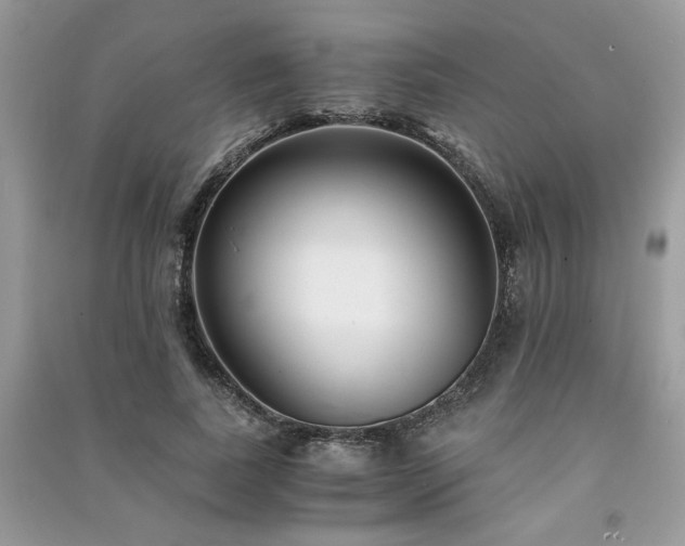 X0000091300739200708101307