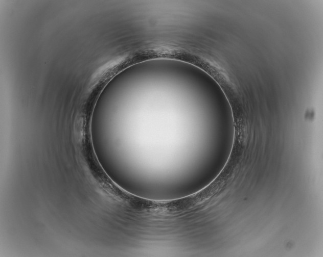 X0000091300740200708101307