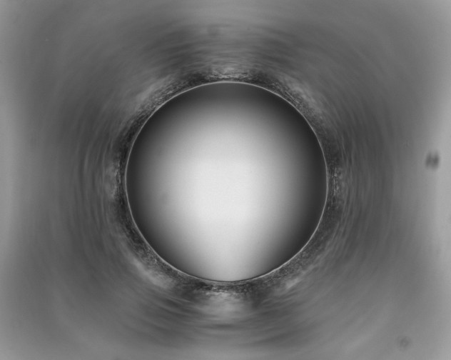 X0000091300741200708101307