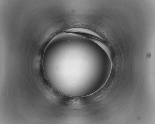 X0000091300742200708101307