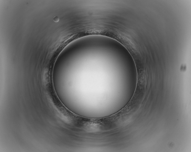 X0000091300743200708101307