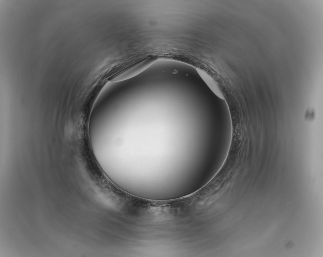 X0000091300744200708101307