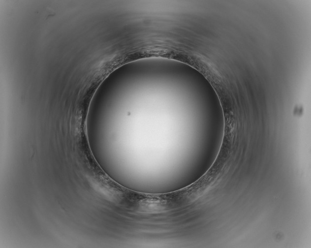 X0000091300745200708101307
