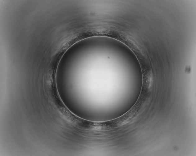 X0000091300746200708101307