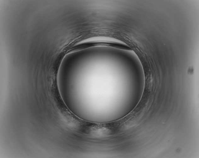 X0000091300747200708101307