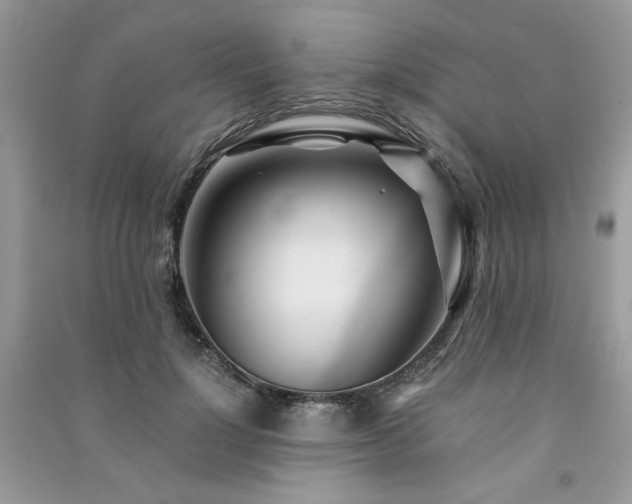 X0000091300748200708101307