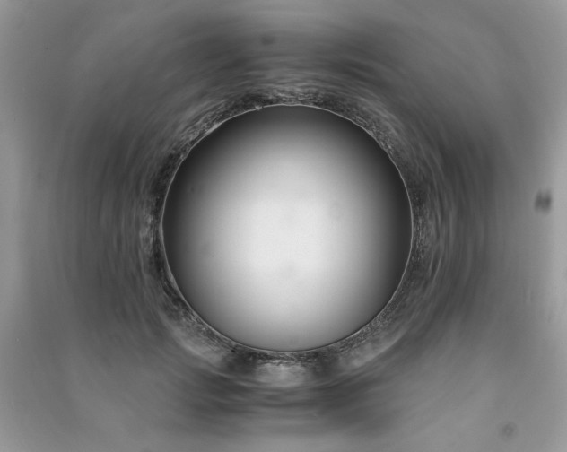 X0000091300749200708101307