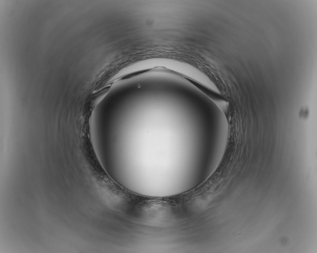 X0000091300750200708101307