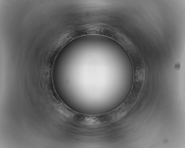 X0000091300753200708101307