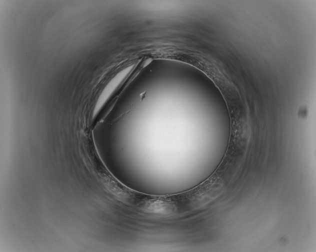 X0000091300755200708101307