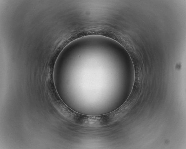 X0000091300758200708101307