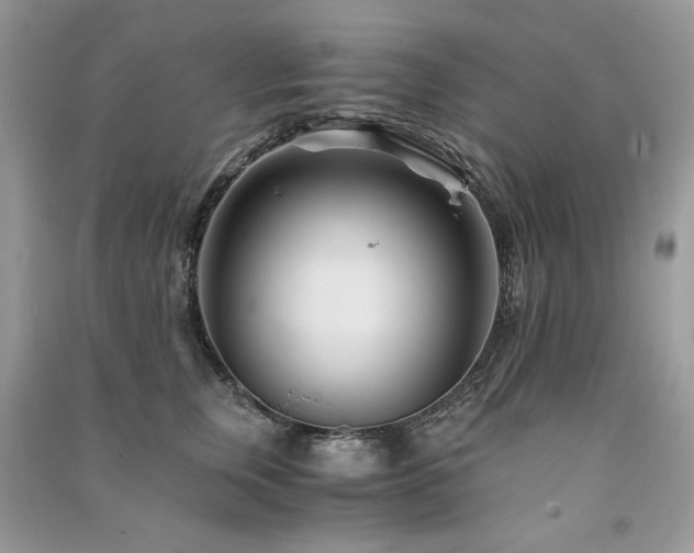 X0000091300759200708101307