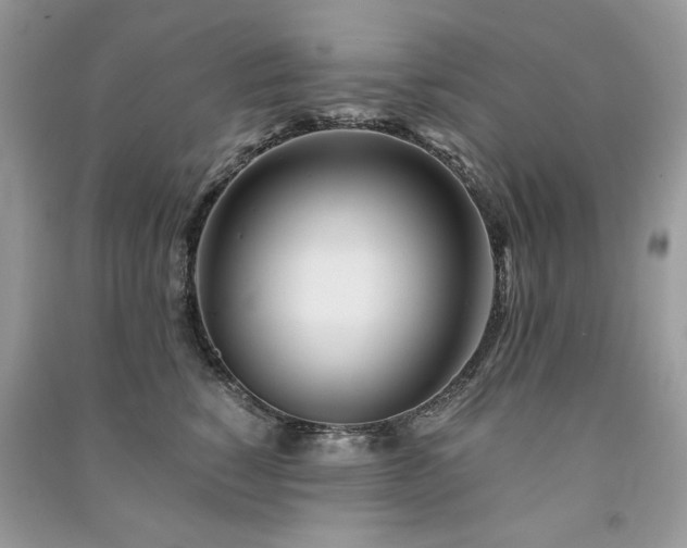 X0000091300760200708101307
