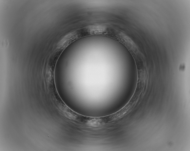 X0000091300761200708101307