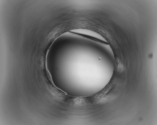 X0000091300762200708101307