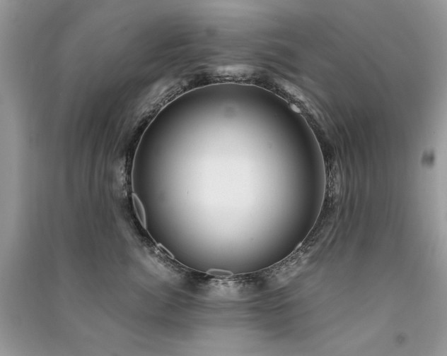 X0000091300764200708101307