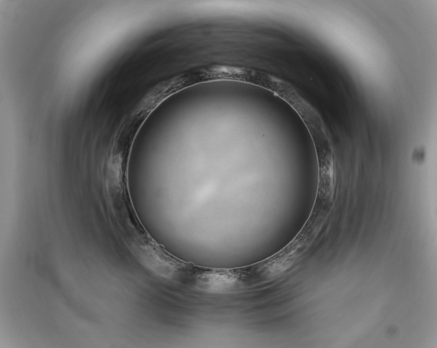 X0000091300765200708101307