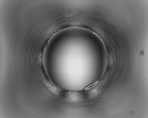 X0000091300766200708101307
