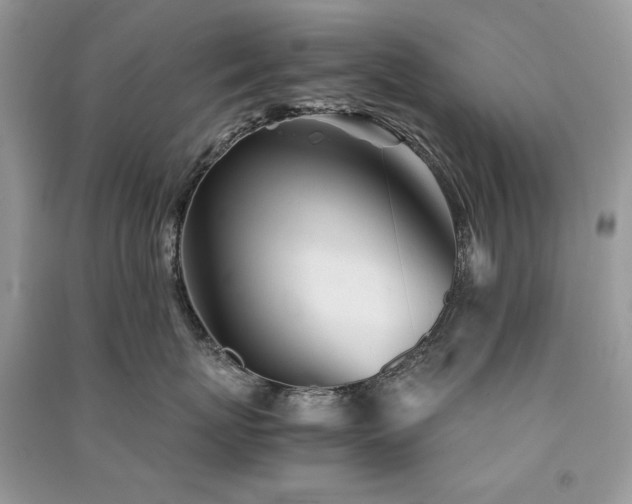 X0000091300767200708101307