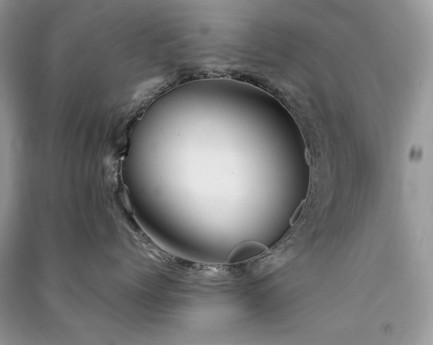 X0000091300768200708101307