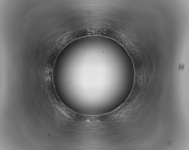 X0000091300770200708101307