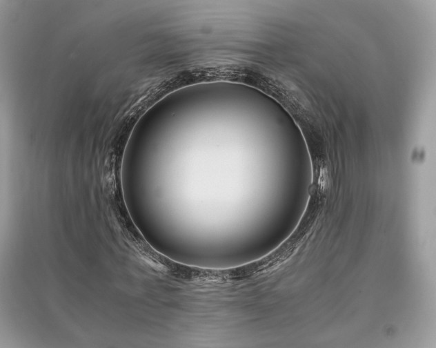 X0000091300771200708101307