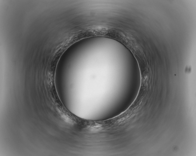 X0000091300772200708101307