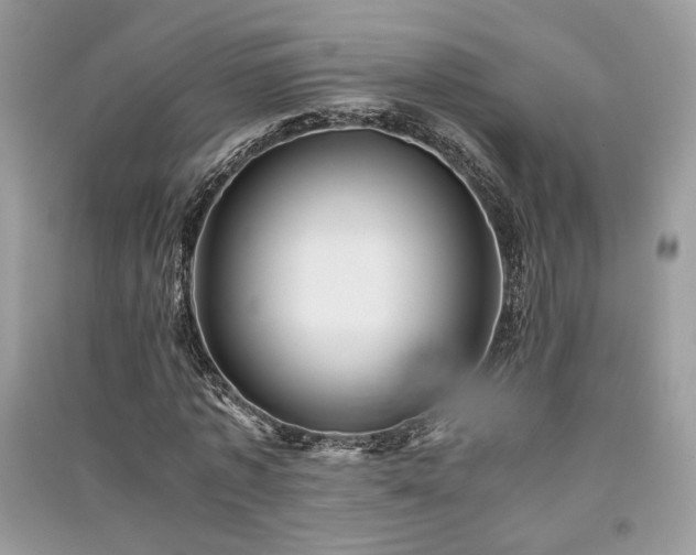 X0000091300773200708101307