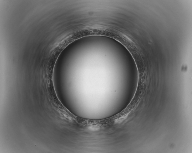 X0000091300774200708101307