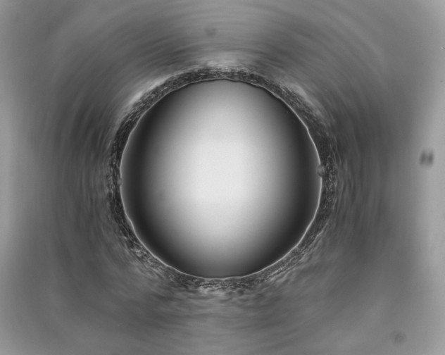X0000091300776200708101307