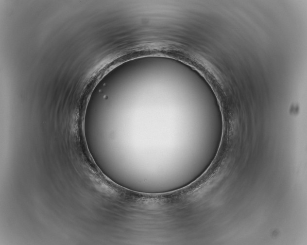 X0000091300778200708101307